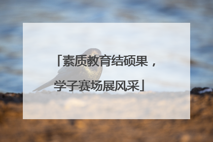 素质教育结硕果，学子赛场展风采