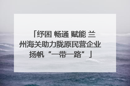 纾困 畅通 赋能 兰州海关助力陇原民营企业扬帆“一带一路”