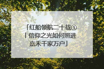 红船领航二十载①丨信仰之光如何照进嘉禾千家万户