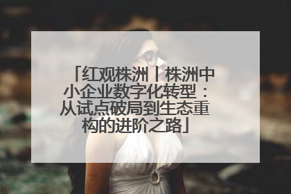 红观株洲丨株洲中小企业数字化转型：从试点破局到生态重构的进阶之路