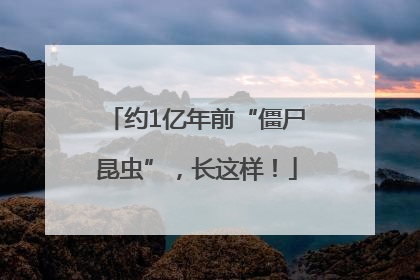 约1亿年前“僵尸昆虫”，长这样！