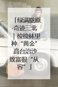 绿满陇原·奇迹三北｜梭梭林里种“黄金” 高台治沙致富很“从容”