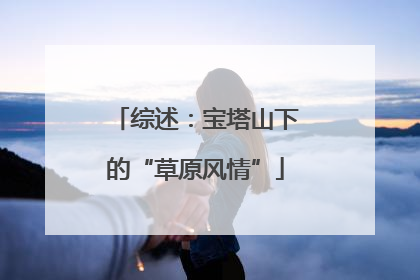 综述：宝塔山下的“草原风情”