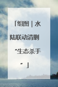 组图｜水陆联动清剿“生态杀手”