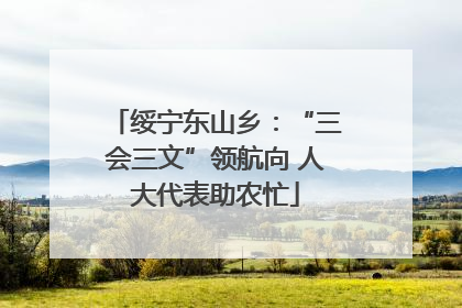 绥宁东山乡：“三会三文”领航向 人大代表助农忙