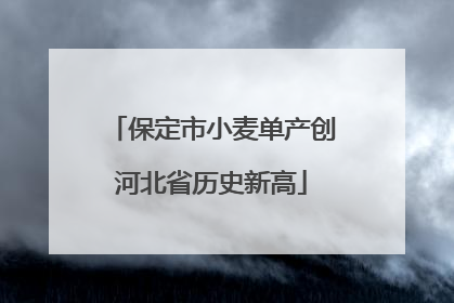 保定市小麦单产创河北省历史新高