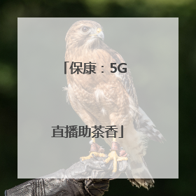 保康：5G直播助茶香