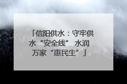 信阳供水：守牢供水“安全线” 水润万家“惠民生”