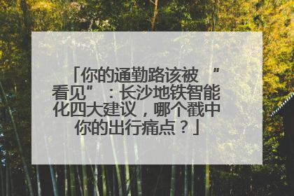 你的通勤路该被 “看见”：长沙地铁智能化四大建议，哪个戳中你的出行痛点？