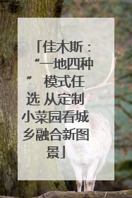 佳木斯：“一地四种” 模式任选 从定制小菜园看城乡融合新图景