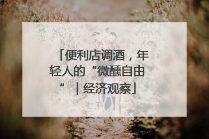 便利店调酒，年轻人的“微醺自由”｜经济观察