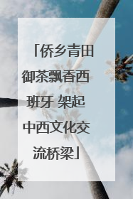 侨乡青田御茶飘香西班牙 架起中西文化交流桥梁