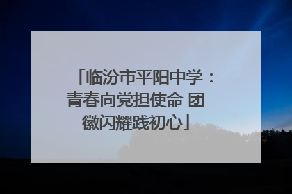 临汾市平阳中学：青春向党担使命 团徽闪耀践初心