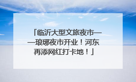 临沂大型文旅夜市——琅琊夜市开业！河东再添网红打卡地！