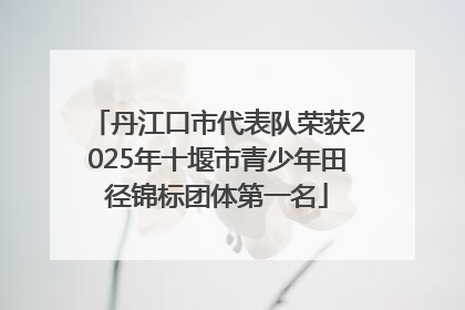 丹江口市代表队荣获2025年十堰市青少年田径锦标团体第一名