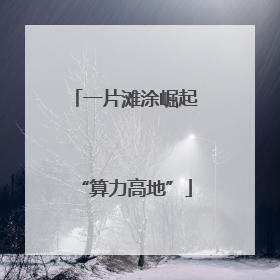 一片滩涂崛起“算力高地”