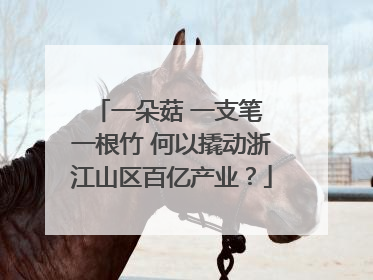 一朵菇 一支笔 一根竹 何以撬动浙江山区百亿产业？