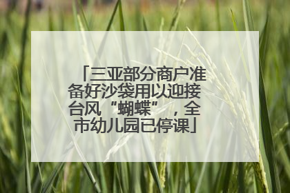三亚部分商户准备好沙袋用以迎接台风“蝴蝶”，全市幼儿园已停课