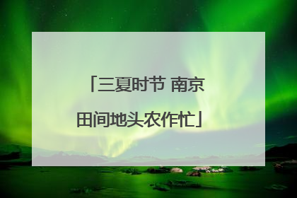 三夏时节 南京田间地头农作忙