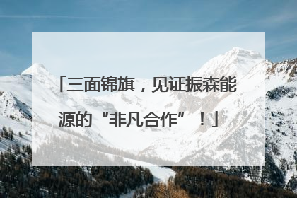 三面锦旗，见证振森能源的“非凡合作”！