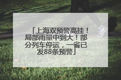 上海双预警高挂！局部雨量中到大！部分列车停运，一省已发88条预警