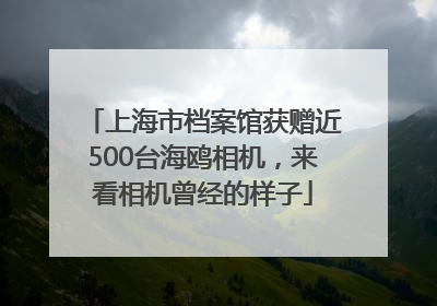 上海市档案馆获赠近500台海鸥相机，来看相机曾经的样子