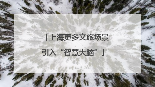 上海更多文旅场景引入“智慧大脑”