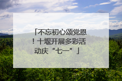 不忘初心颂党恩！十堰开展多彩活动庆“七一”