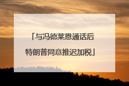 与冯德莱恩通话后 特朗普同意推迟加税