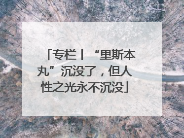 专栏丨“里斯本丸”沉没了，但人性之光永不沉没