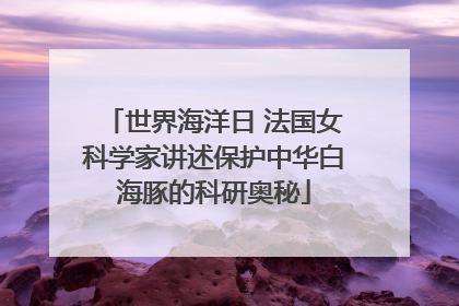 世界海洋日 法国女科学家讲述保护中华白海豚的科研奥秘