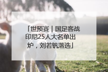 世预赛｜国足客战印尼25人大名单出炉，刘若钒落选