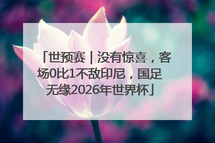 世预赛｜没有惊喜，客场0比1不敌印尼，国足无缘2026年世界杯