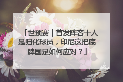 世预赛｜首发阵容十人是归化球员，印尼这把底牌国足如何应对？