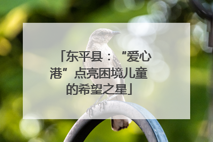 东平县：“爱心港”点亮困境儿童的希望之星