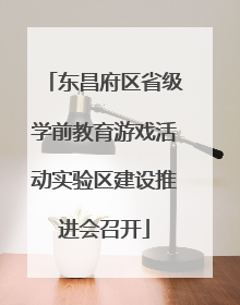 东昌府区省级学前教育游戏活动实验区建设推进会召开