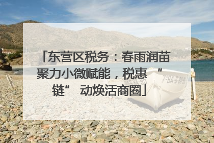 东营区税务：春雨润苗聚力小微赋能，税惠 “链” 动焕活商圈