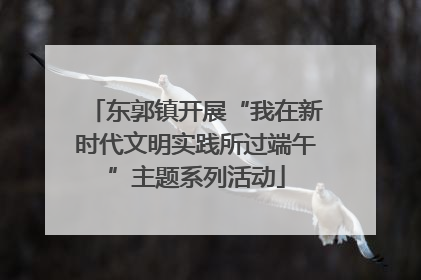 东郭镇开展“我在新时代文明实践所过端午”主题系列活动