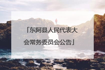 东阿县人民代表大会常务委员会公告