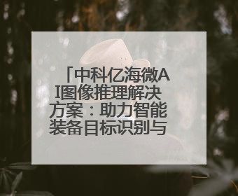 中科亿海微AI图像推理解决方案：助力智能装备目标识别与跟踪