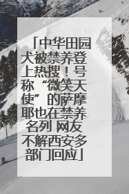 中华田园犬被禁养登上热搜！号称“微笑天使”的萨摩耶也在禁养名列 网友不解西安多部门回应