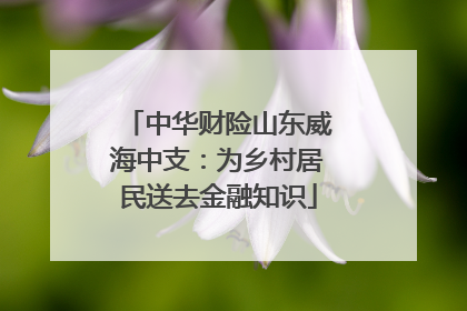中华财险山东威海中支：为乡村居民送去金融知识