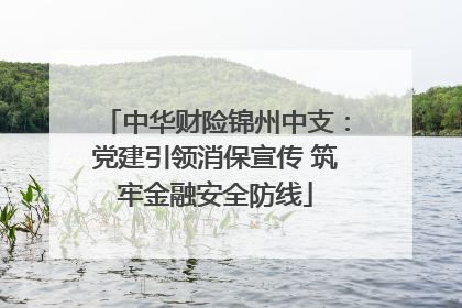 中华财险锦州中支：党建引领消保宣传 筑牢金融安全防线