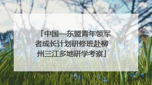 中国—东盟青年领军者成长计划研修班赴柳州三江多地研学考察