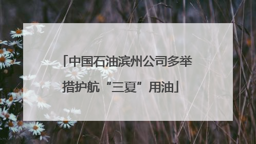 中国石油滨州公司多举措护航“三夏”用油