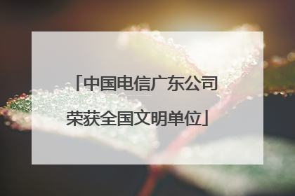中国电信广东公司荣获全国文明单位
