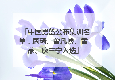 中国男篮公布集训名单，周琦、曾凡博、雷蒙、廖三宁入选