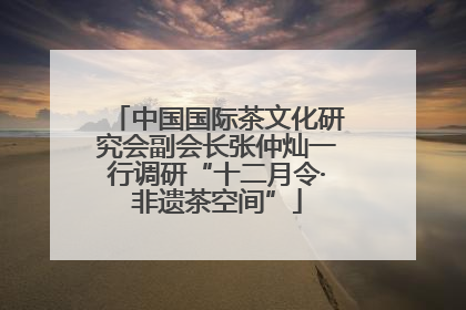 中国国际茶文化研究会副会长张仲灿一行调研“十二月令·非遗茶空间”