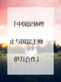 中国足协终止与国足主帅伊万合作