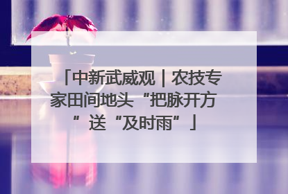 中新武威观｜农技专家田间地头“把脉开方”送“及时雨”